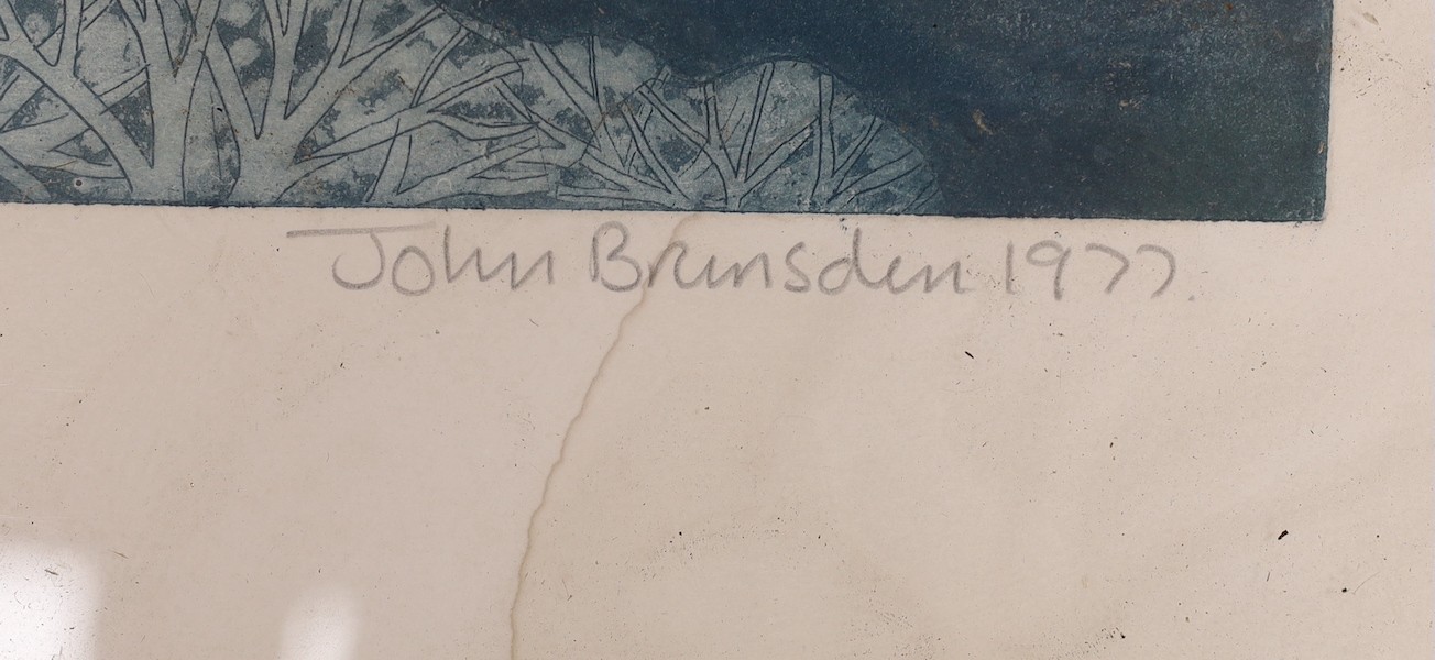 John Brunsden (1933-2014), aquatint, View from Pilsden Pen, signed and dated '77, 116/150, 45 x 60cm, water damage to the margins